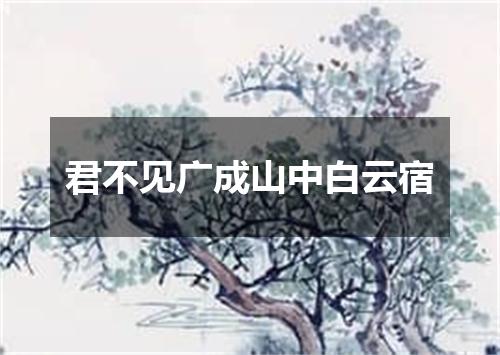 君不见广成山中白云宿