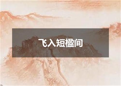 飞入短楹间