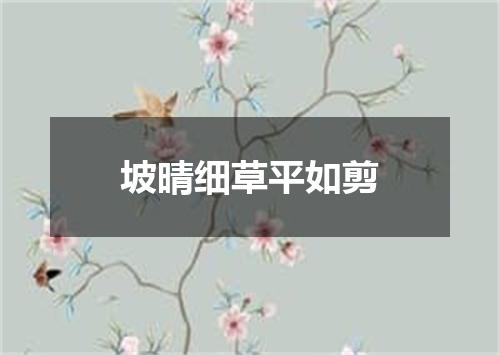 坡晴细草平如剪