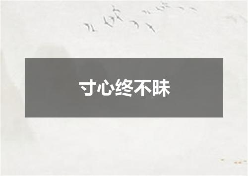 寸心终不昧