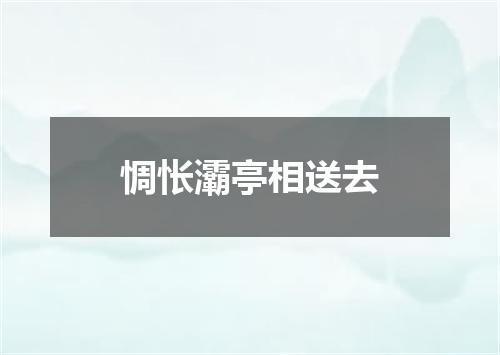 惆怅灞亭相送去