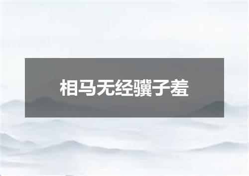 相马无经骥子羞