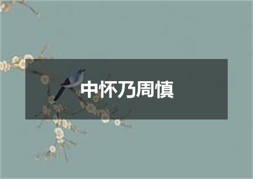 中怀乃周慎