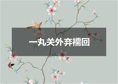 一丸关外弃襦回
