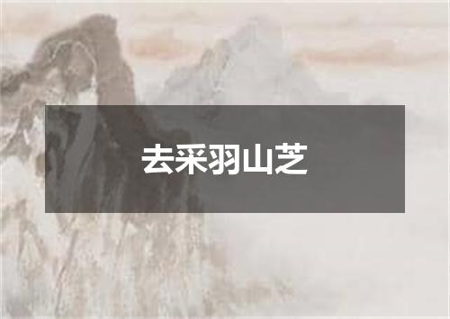 去采羽山芝