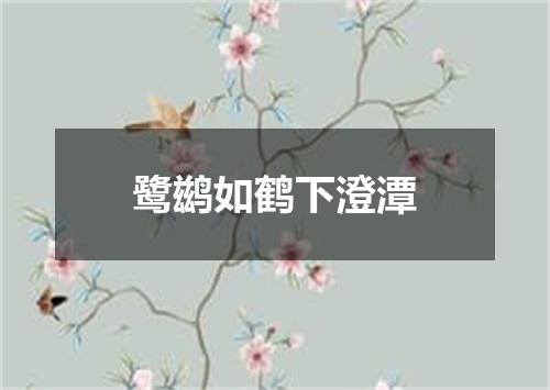 鹭鹚如鹤下澄潭
