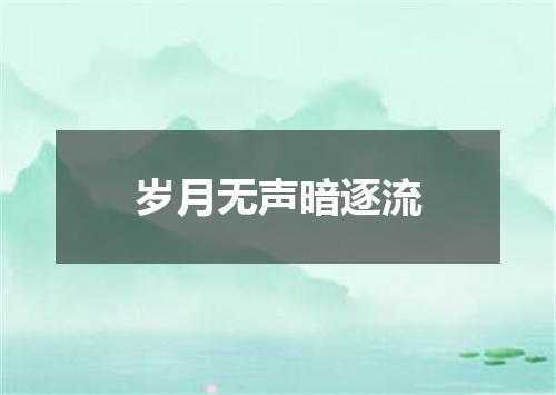 岁月无声暗逐流