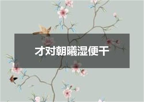 才对朝曦湿便干
