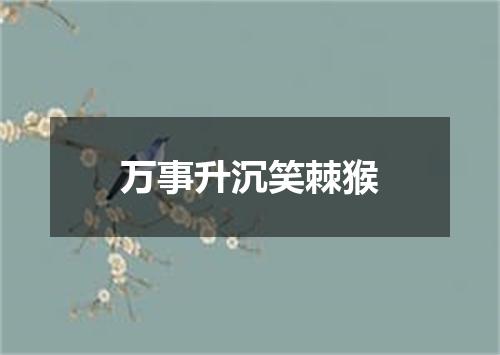 万事升沉笑棘猴