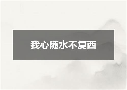 我心随水不复西