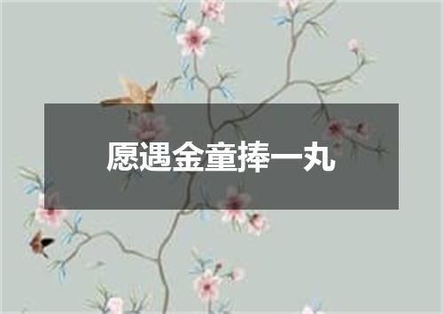 愿遇金童捧一丸