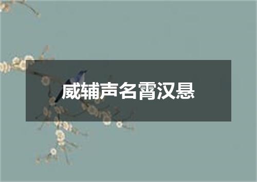 威辅声名霄汉悬