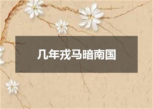 几年戎马暗南国