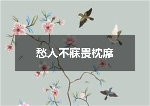 愁人不寐畏枕席