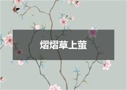 熠熠草上萤