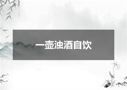 一壶浊酒自饮