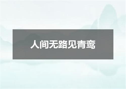 人间无路见青鸾