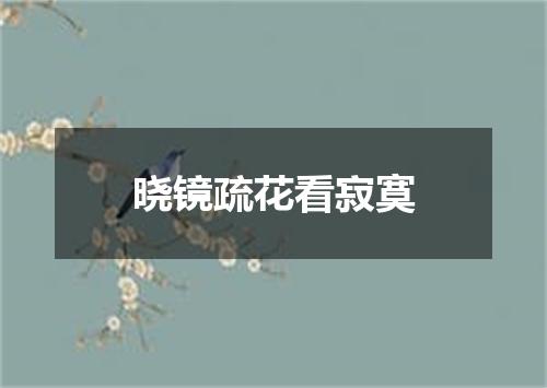 晓镜疏花看寂寞