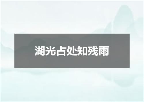 湖光占处知残雨