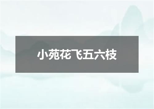 小苑花飞五六枝