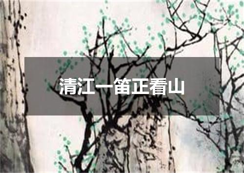 清江一笛正看山