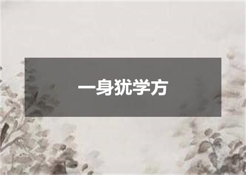 一身犹学方