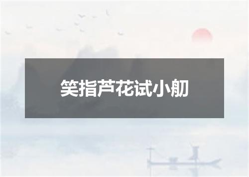 笑指芦花试小舠