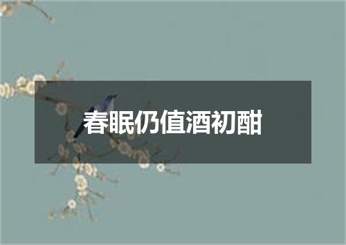 春眠仍值酒初酣