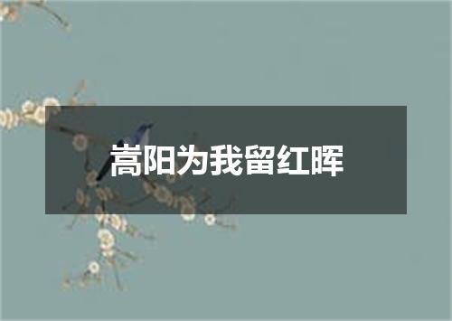 嵩阳为我留红晖