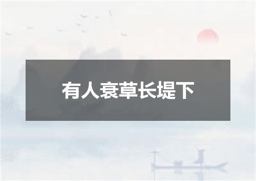 有人衰草长堤下