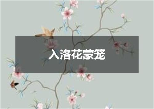 入洛花蒙笼