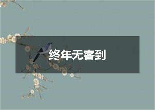 终年无客到