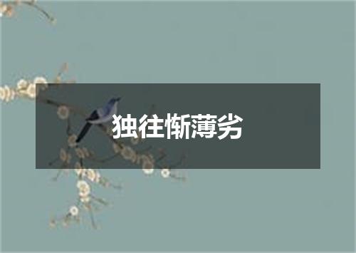 独往惭薄劣
