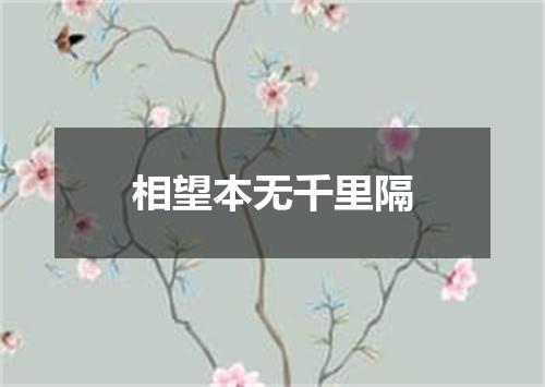 相望本无千里隔