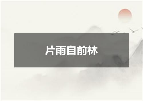 片雨自前林