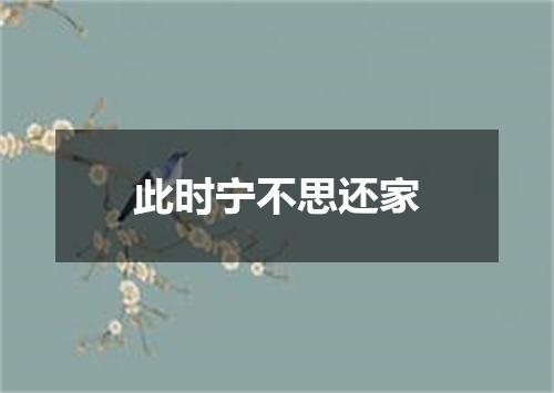 此时宁不思还家