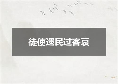 徒使遗民过客哀