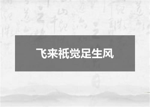 飞来祇觉足生风