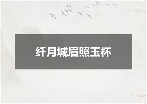 纤月城眉照玉杯