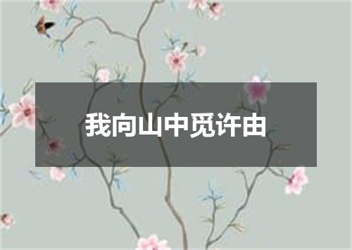 我向山中觅许由