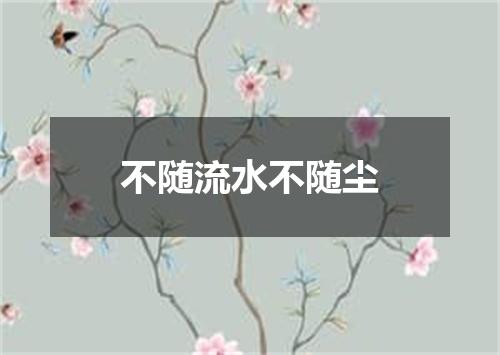 不随流水不随尘