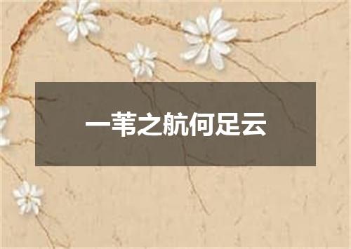 一苇之航何足云