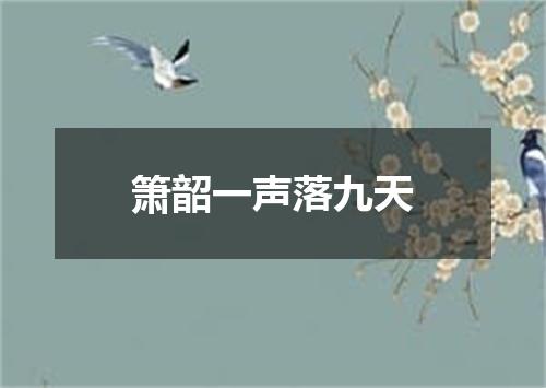 箫韶一声落九天