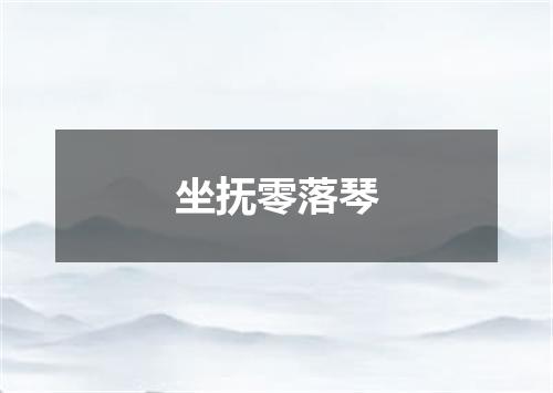 坐抚零落琴