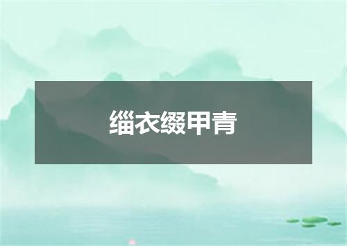 缁衣缀甲青