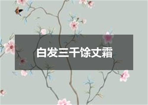 白发三千馀丈霜
