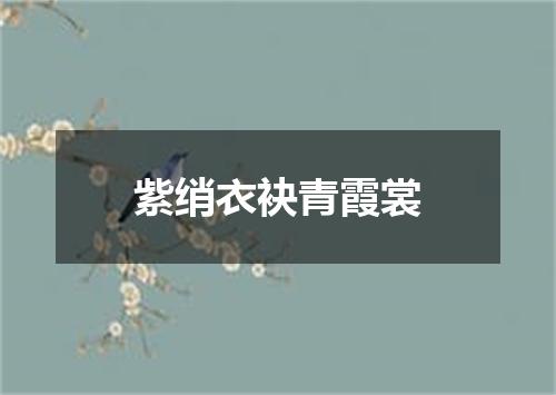 紫绡衣袂青霞裳