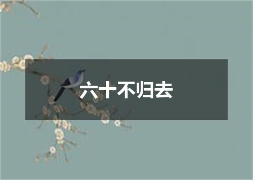 六十不归去
