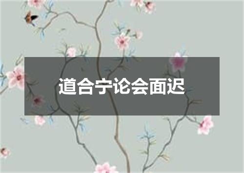 道合宁论会面迟