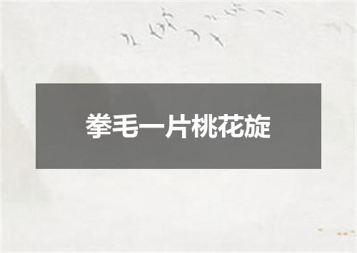 拳毛一片桃花旋